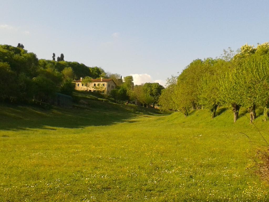 Bed and Breakfast Casale La Rocchetta Lonigo Zewnętrze zdjęcie