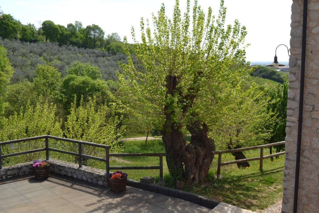 Bed and Breakfast Casale La Rocchetta Lonigo Zewnętrze zdjęcie