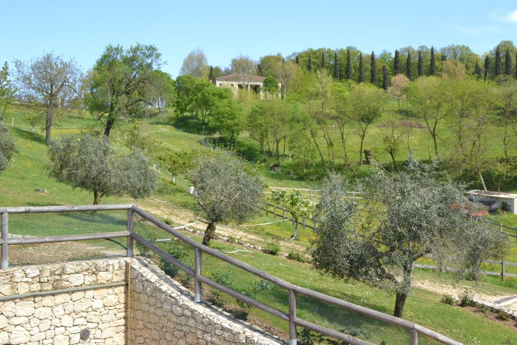 Bed and Breakfast Casale La Rocchetta Lonigo Zewnętrze zdjęcie