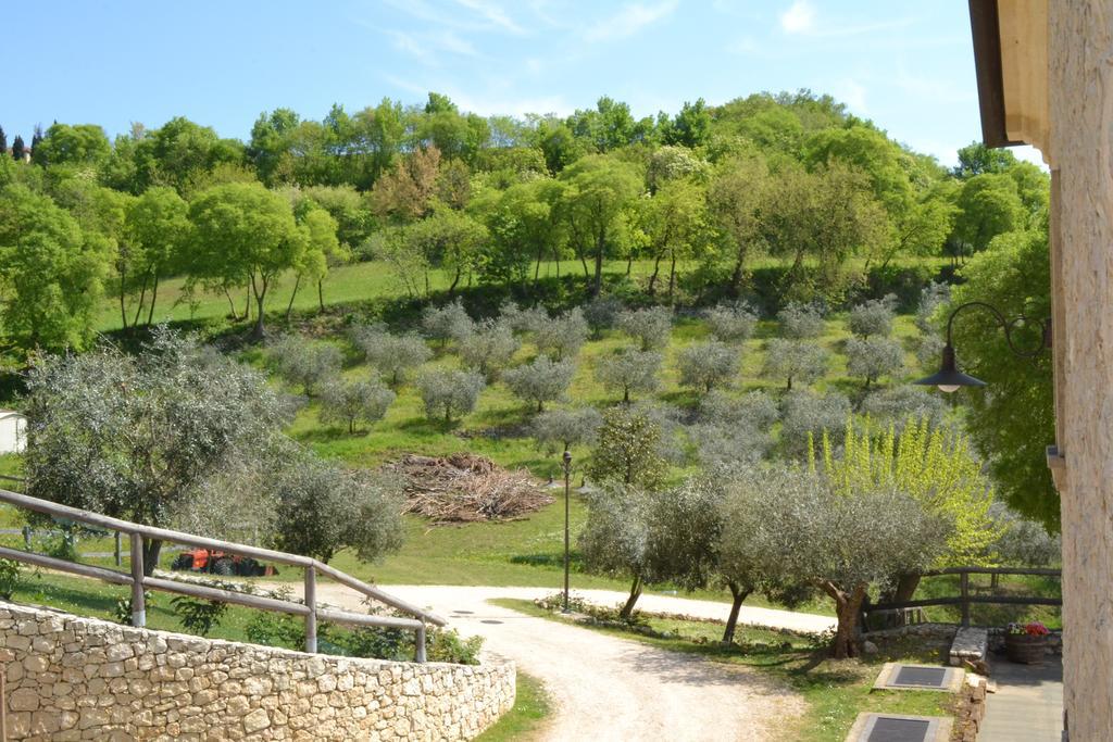 Bed and Breakfast Casale La Rocchetta Lonigo Zewnętrze zdjęcie